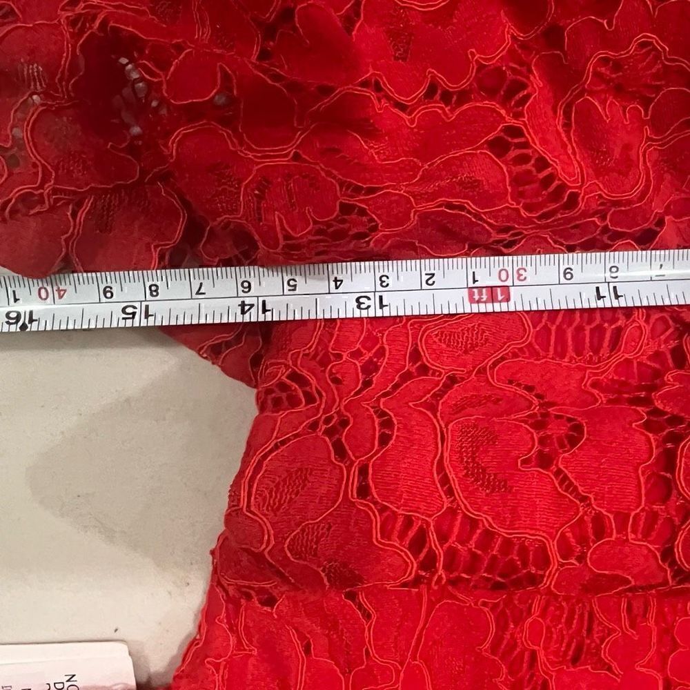 Chic Red Lace Ruffle Mini Dress - Picture 12 of 13